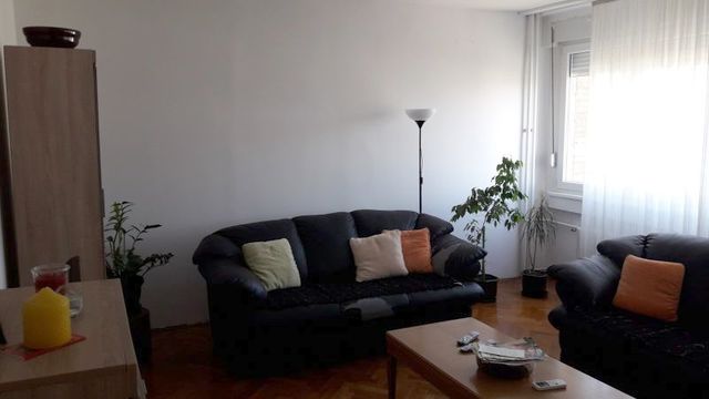 Despota Olivera 2, Beograd - 16