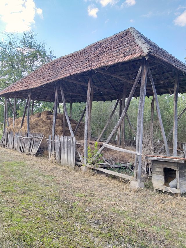 Put za Bobovo /, Viteževo - 16