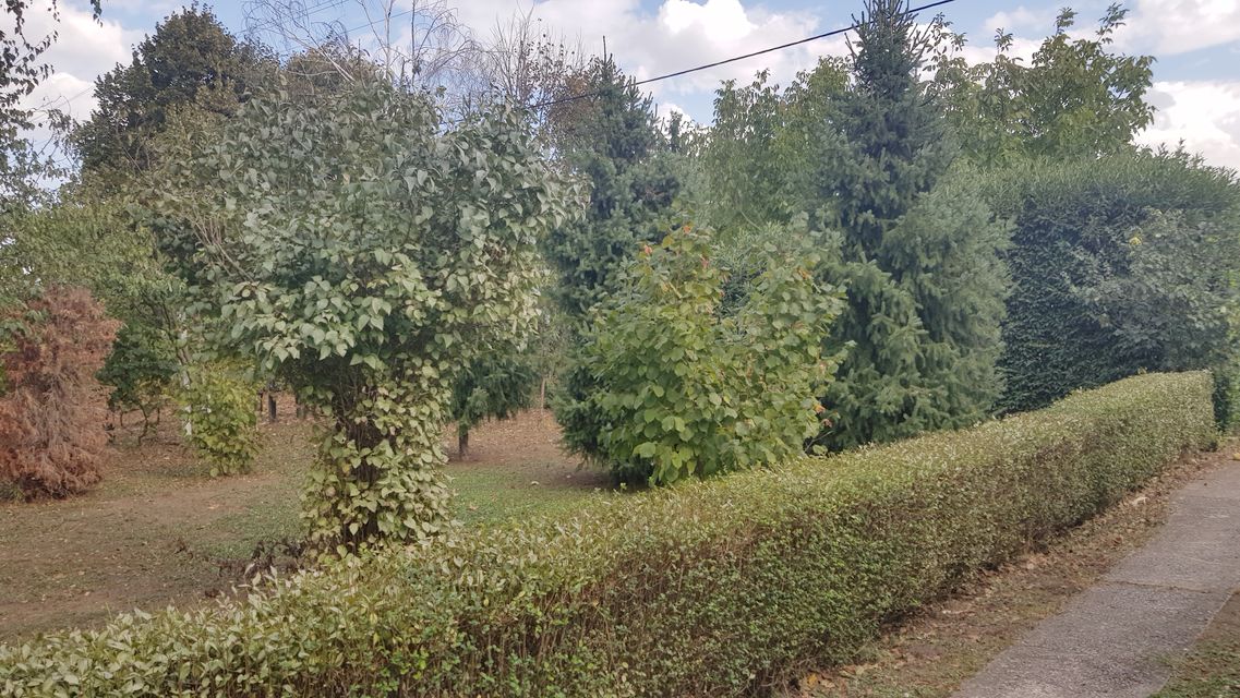 Centrala 142, Sombor - 6