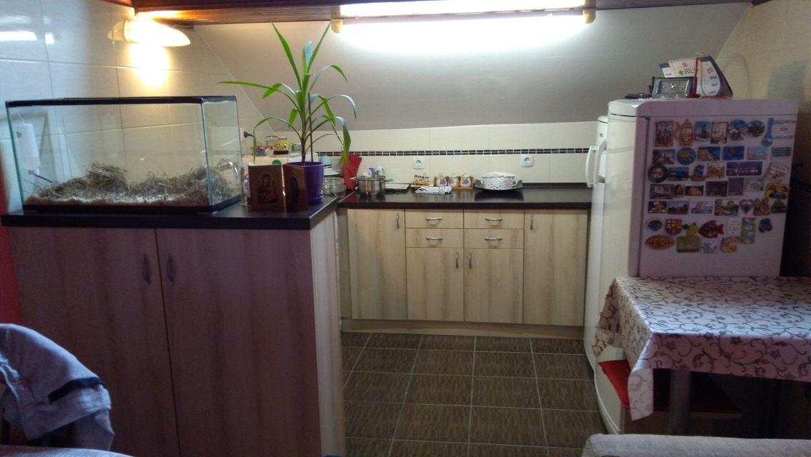 Alekse Šantića 17, Novi Sad - 3