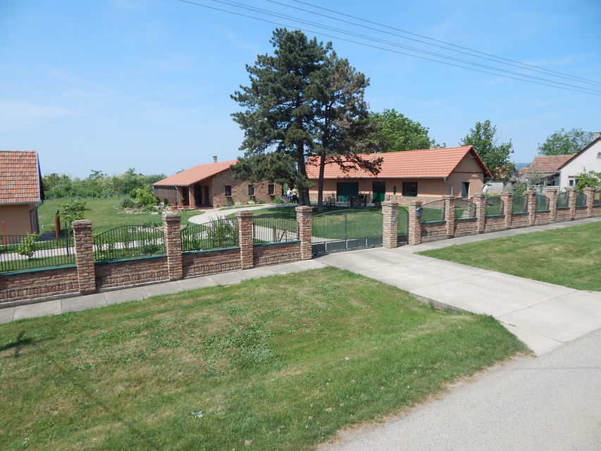 Ive Lole Ribara  13, Pavlovci