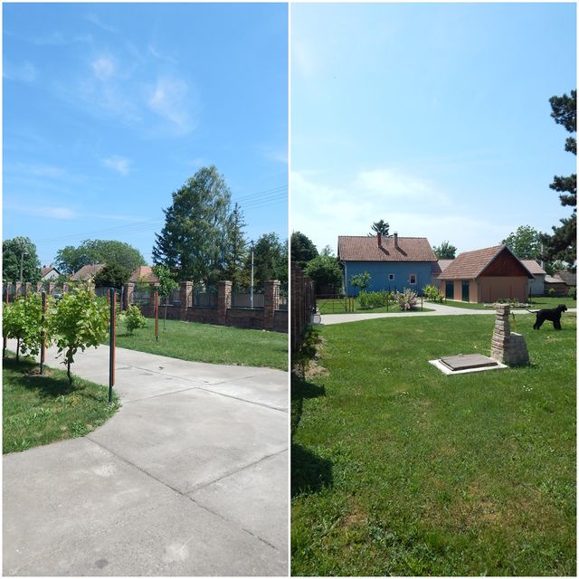 Ive Lole Ribara  13, Pavlovci - 6