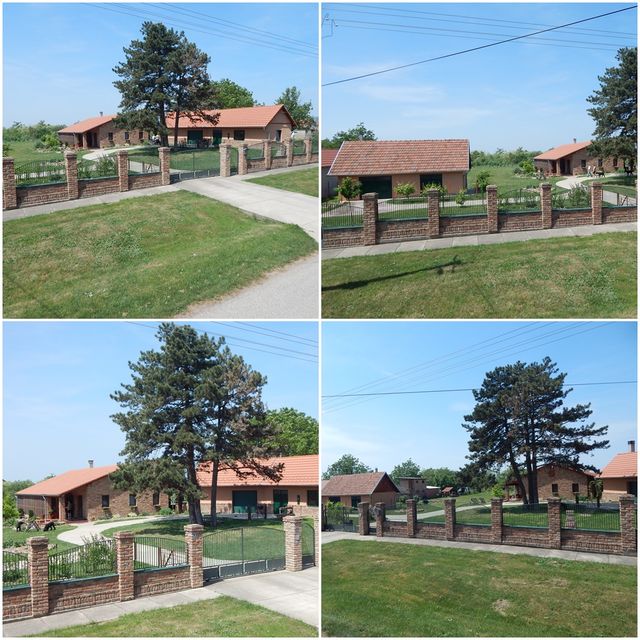 Ive Lole Ribara  13, Pavlovci - 2