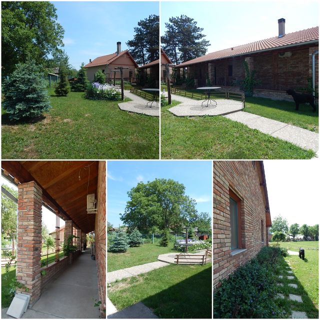 Ive Lole Ribara  13, Pavlovci - 7