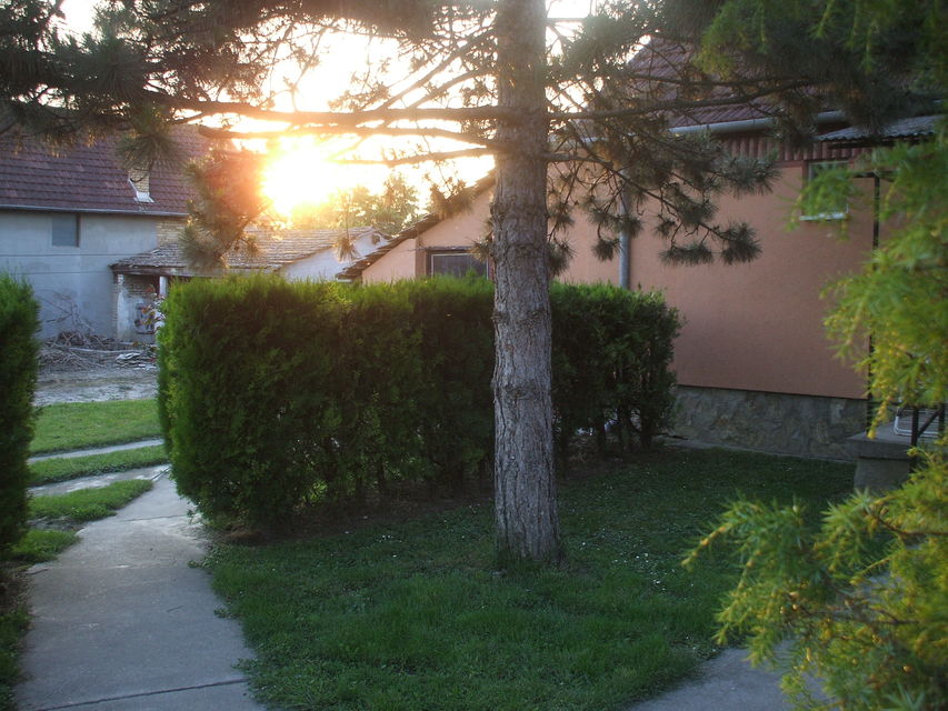 Tršova 19, Sivac - 6