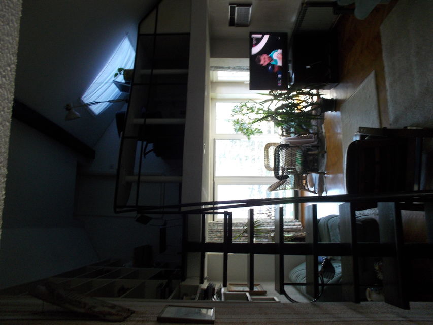 Vajara Đoke Jovanovića 20, Beograd - 4