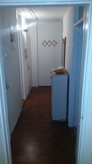 Dr Ivana Ribara 7, Novi Sad - 3