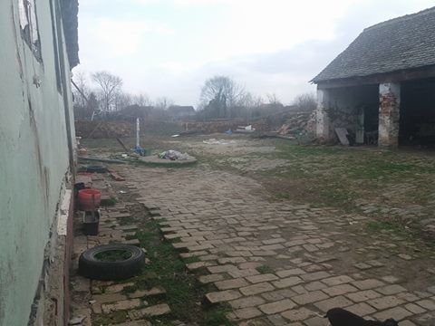 Joce Mirče 160, Uzdin - 16