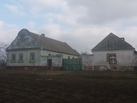 Joce Mirče 160, Uzdin - 12