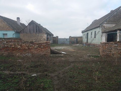 Joce Mirče 160, Uzdin - 14