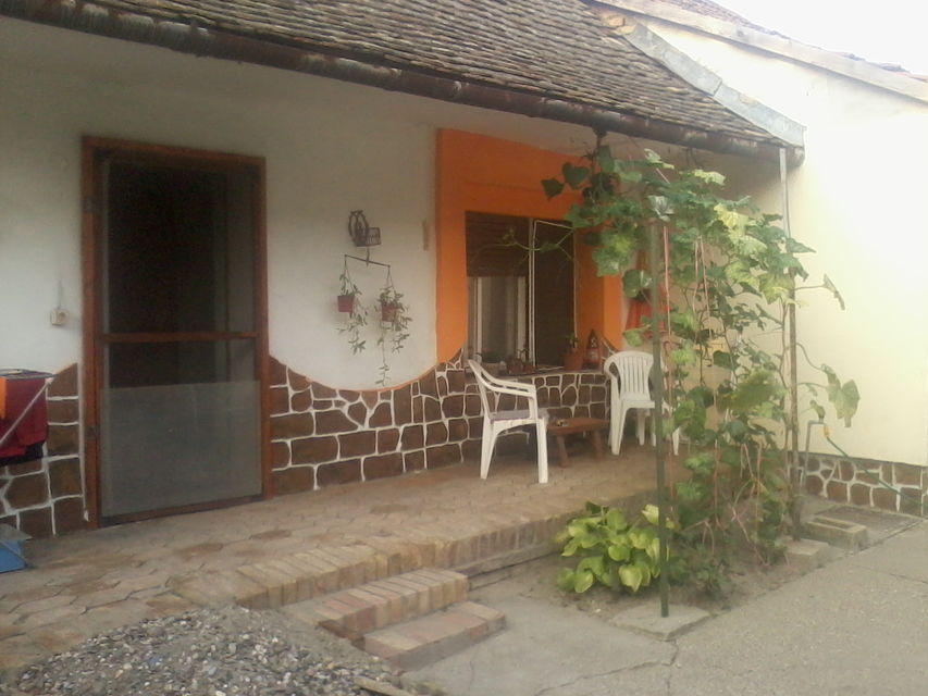 Svetozara Miletića 123, Bačka Palanka - 7