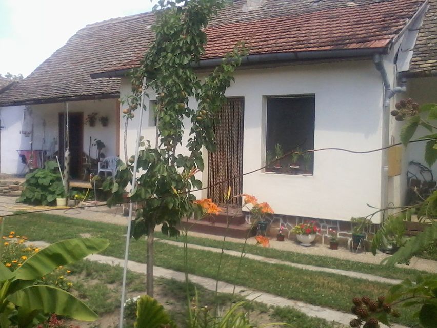 Svetozara Miletića 123, Bačka Palanka - 3