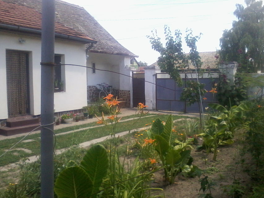 Svetozara Miletića 123, Bačka Palanka - 2