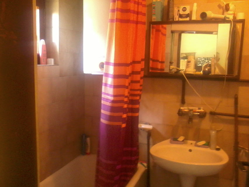 Svetozara Miletića 123, Bačka Palanka - 5