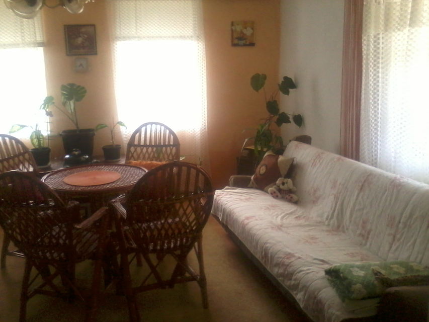 Svetozara Miletića 123, Bačka Palanka - 4