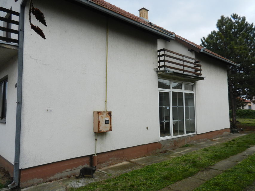 Baranji Karolja 50, Temerin - 2