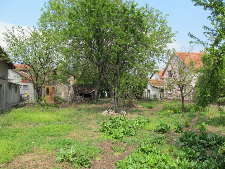 Pazovački put 9, Beograd - 4