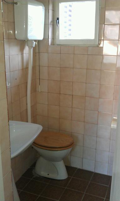 Čenejska 68, Novi Sad - 11