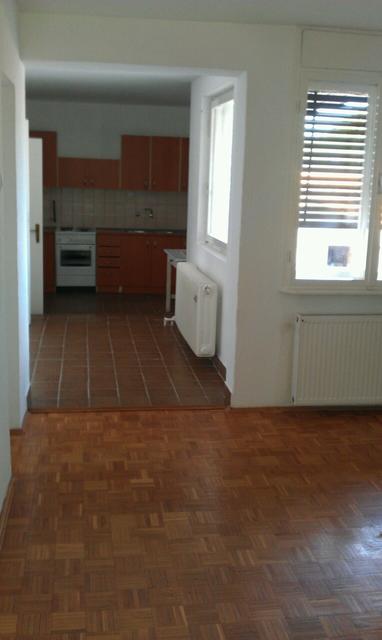 Čenejska 68, Novi Sad - 8