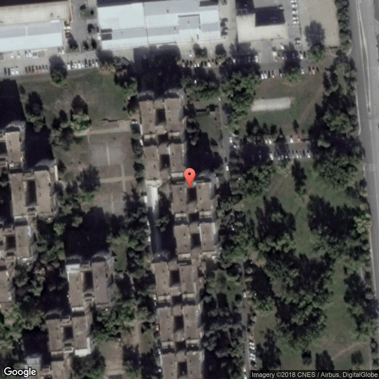 Dr Agostina Neta 24, Beograd