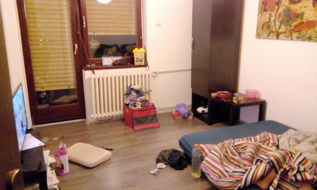 Ilije Ognjanovića 4, Novi Sad - 5