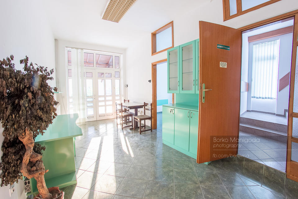 Sentandrejski put 117c, Novi Sad - 3