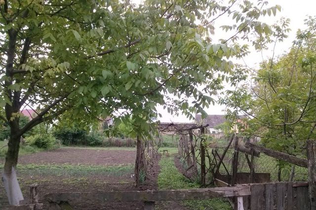 Svetozara Markovića  61, Mramorak - 7